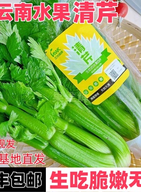 云南高原水果清芹生吃新鲜水果芹菜西芹当季蔬菜现采现发绿色青菜