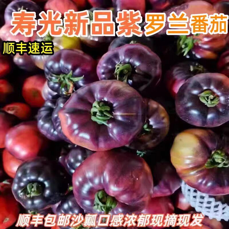 顺丰山东紫罗兰番茄丑马蹄紫元帅沙瓤西红柿火山番现摘新鲜大番茄图片