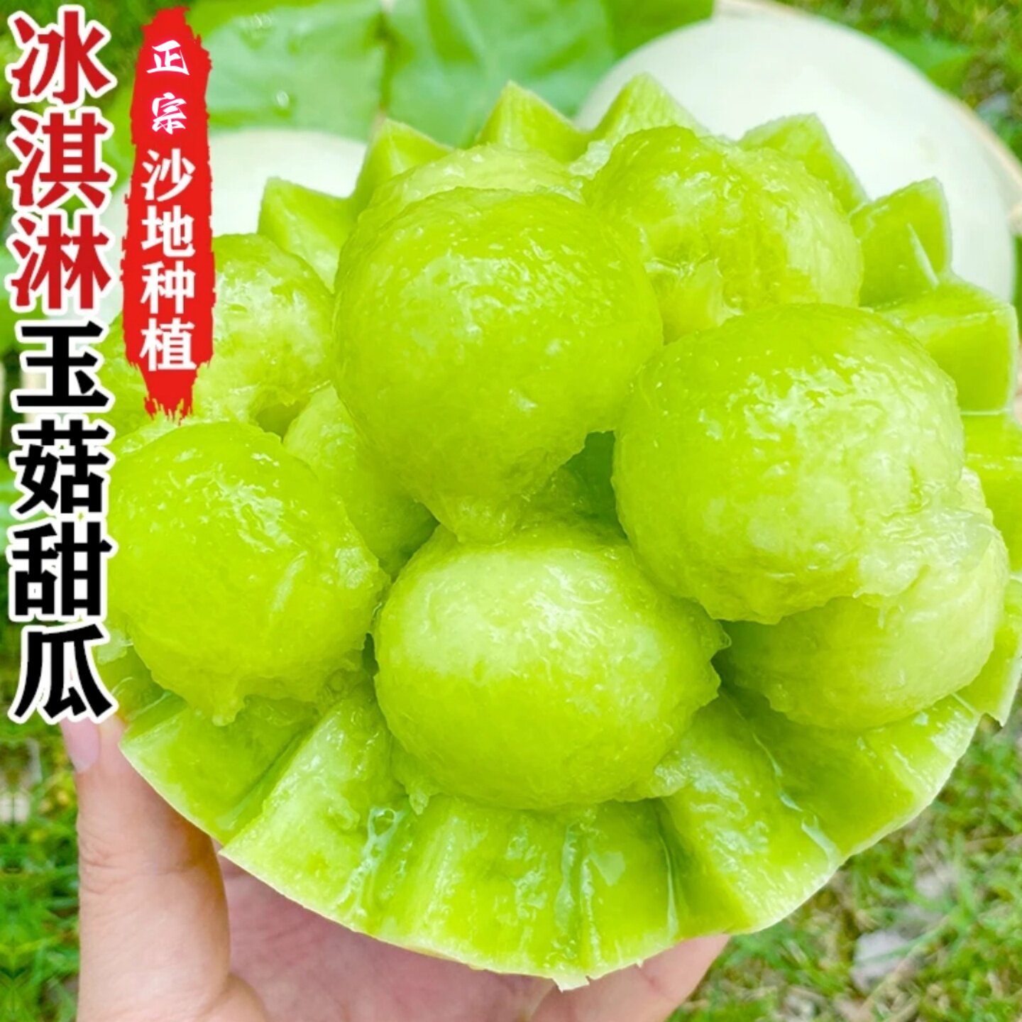 冰淇淋玉菇甜瓜新鲜水果当季冰淇淋新玉姑甜瓜玉茹玉谷蜜香瓜