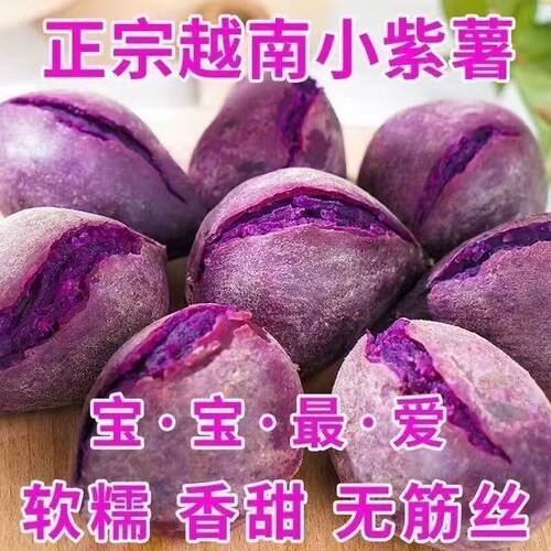 正宗越南小紫薯新鲜农家自种一级珍珠板栗纯正现挖紫薯粉糯甜5斤