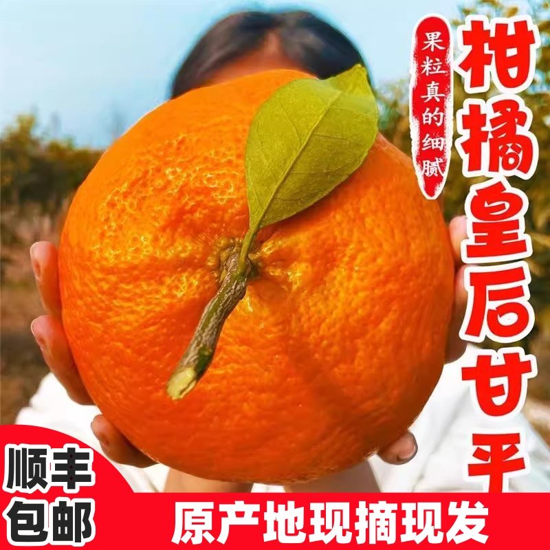 正宗甘平柑橘皇后当季新鲜现摘水果蜜橘子纯甜小金牛桔子非粑粑柑,水产肉类/新鲜蔬果/熟食,桔子,淘宝优惠券,粉丝福利购,淘宝优惠卷