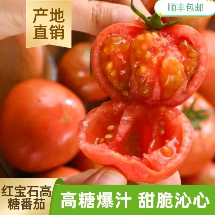顺丰现摘红宝石高糖水果番茄当季新鲜蔬菜自然熟日本品种西红柿子,水产肉类/新鲜蔬果/熟食,番茄,淘宝优惠券,粉丝福利购,淘宝优惠卷