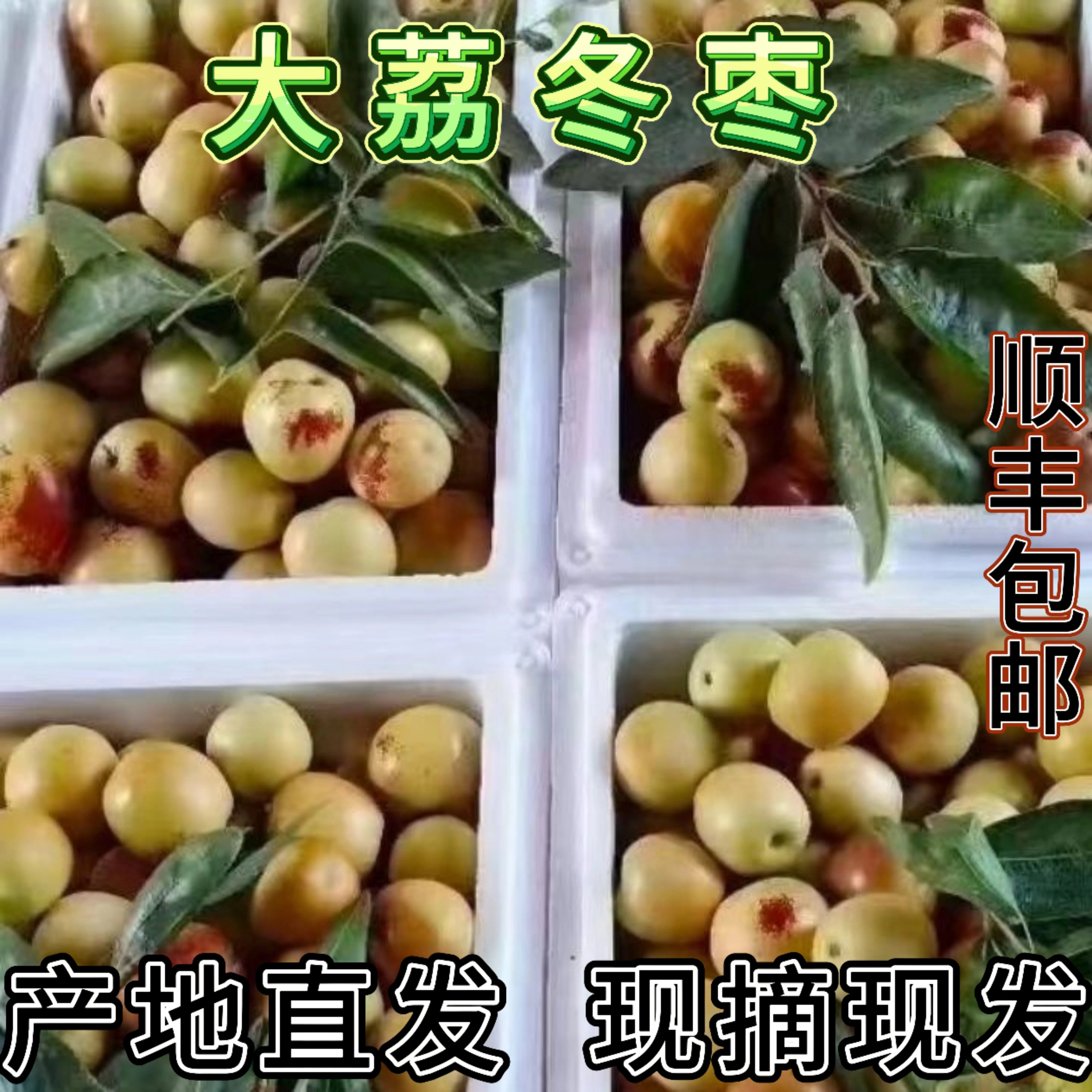 顺丰正宗陕西大荔冬枣脆甜多汁新鲜枣子现摘5斤礼盒当季孕妇水果