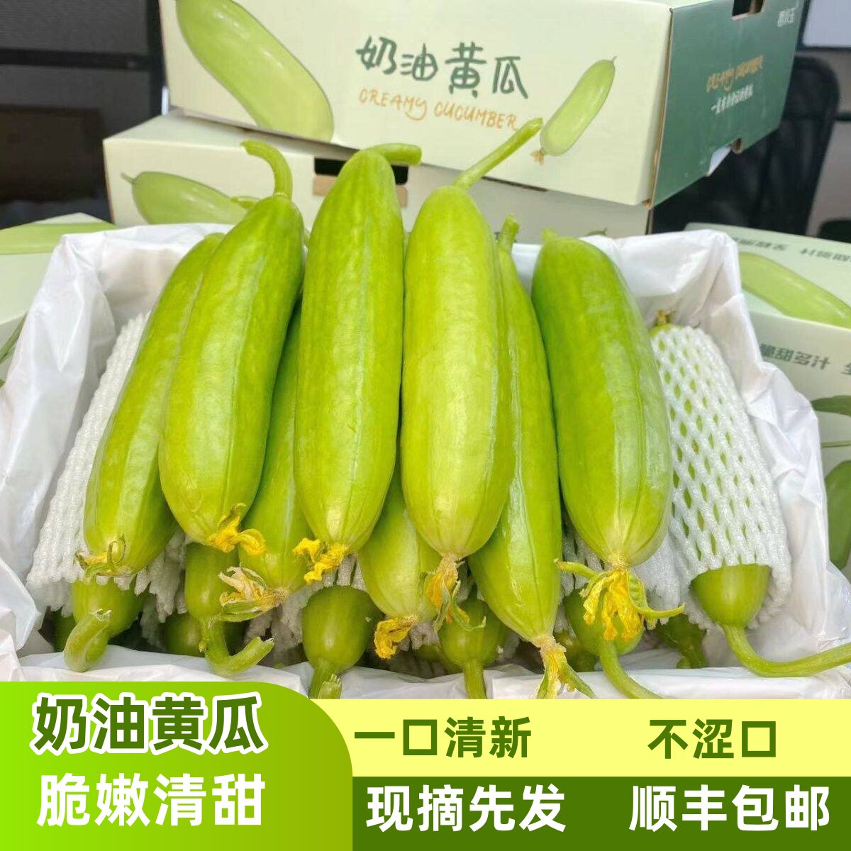 顺丰山东无刺奶油小黄瓜新鲜现摘生吃清脆牛奶白玉水果黄瓜小青瓜