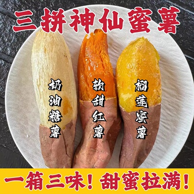 三拼地瓜烤红薯榴莲蜜薯哈密薯