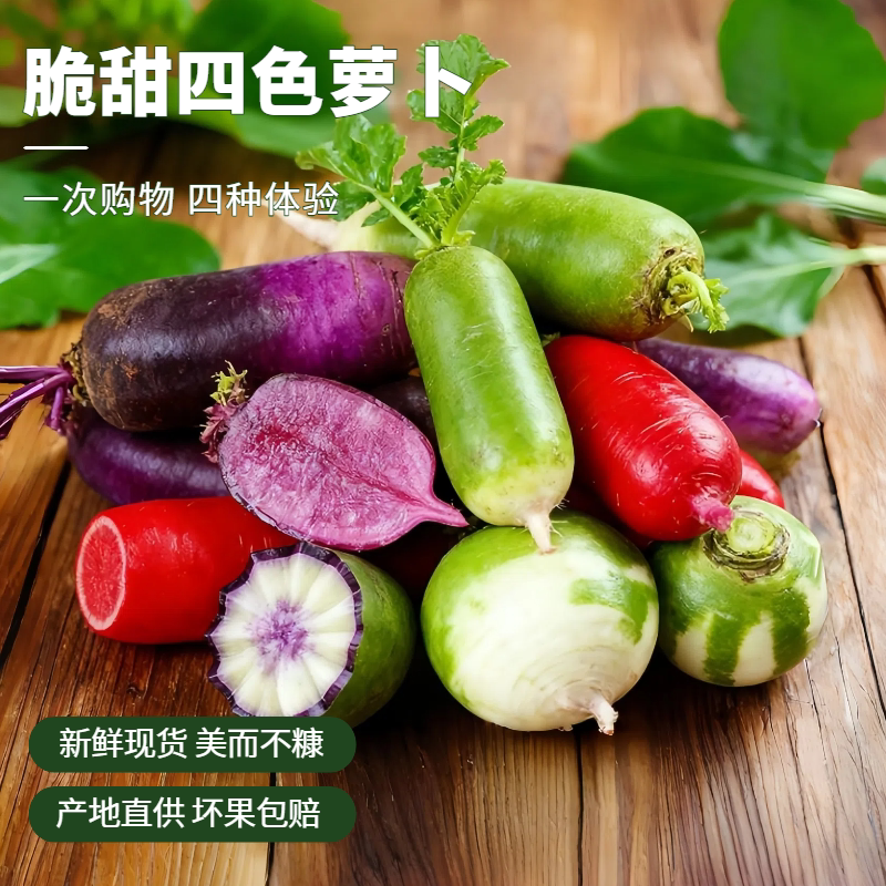 四色萝卜新鲜当季蔬菜心里美紫美人冰淇淋水果萝卜脆甜生吃现挖