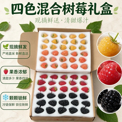 顺丰空运四拼树莓新鲜现摘红树莓