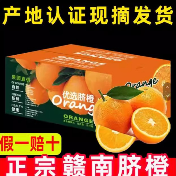 赣南脐橙现摘发正宗江西州图片