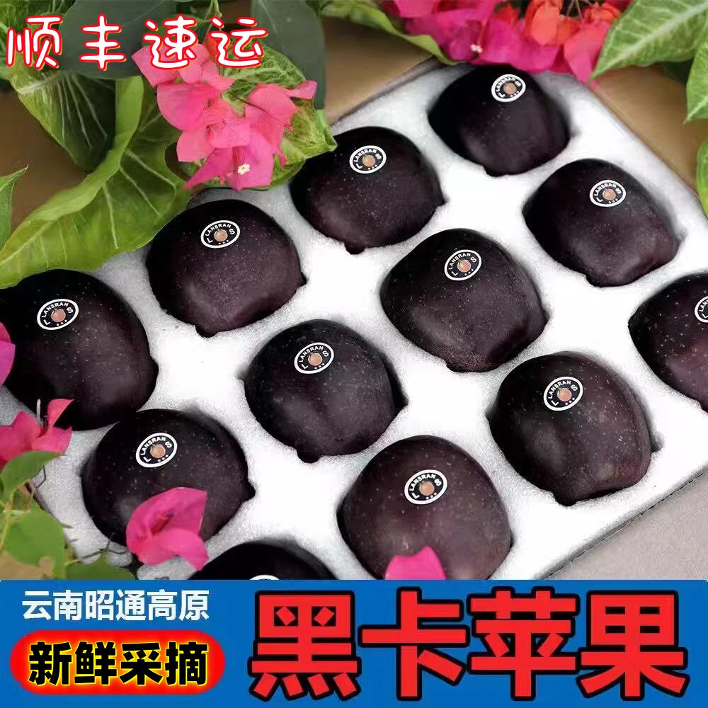 云南昭通黑卡苹果钻色当季图片