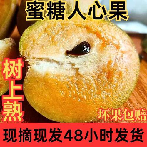 海南人心果当季现摘新鲜广西
