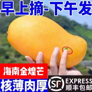 正宗海南金煌芒纸核芒果树上熟金皇芒金黄芒新鲜水仙芒顺丰礼盒装