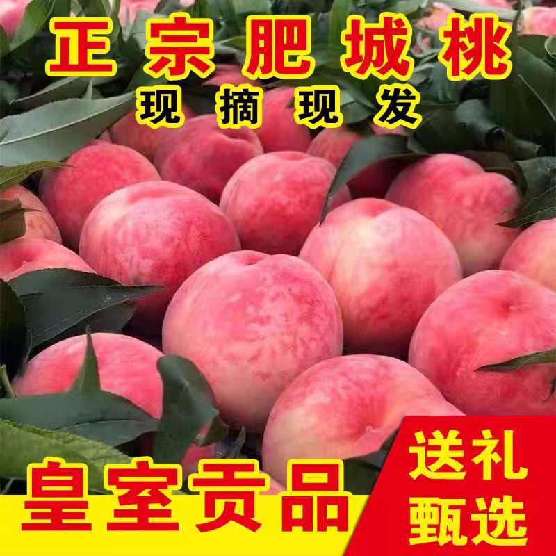 山东水蜜桃新鲜肥城当季佛桃图片
