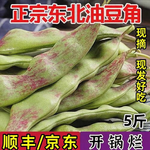 正宗东北油豆角现摘新鲜一点红