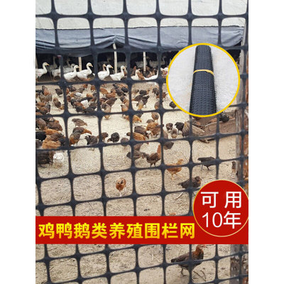 塑料网格防护栏养鸡围栏网家用小孔养殖隔离网菜园果园户外拦鸡网