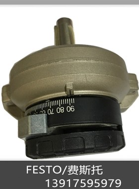 费斯托旋转气缸DSR-25-1o80-P 11911 DSRL-25-180-P-FW 30656 现