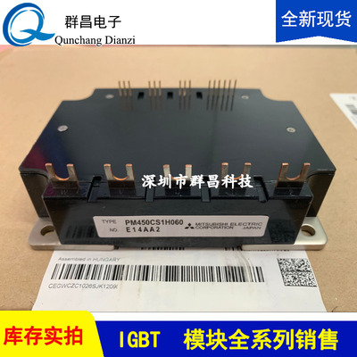 PM450CS1H060l PM300CBS060 PM200CBS060 PM150CBS060