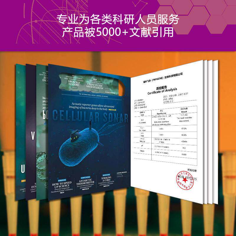 亚硝酸盐氮显色剂显色液 500mL 实验检C测分析 [PLM076 PHYGENE]