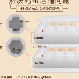 鸡蛋包装 土鸡蛋托邮寄快递打包箱防震泡沫托珍珠棉专用 盒100枚装