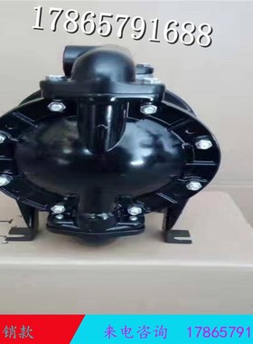 气动隔膜泵666120-2n44-C 66612B-344-C 1寸隔膜泵 矿用泵压滤机