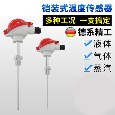 定制K型铠装热电偶WRN-130高温探头Pt100温度传感器wzp-1W30/230