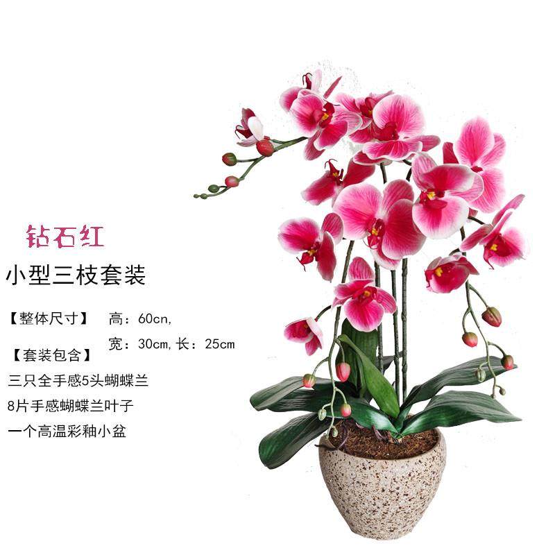 和家PU手感蝴蝶兰彷真花套装y假花绢花盆栽整体花艺客厅光触媒绢,家居饰品,仿真花/假花,淘宝优惠券,粉丝福利购,淘宝优惠卷