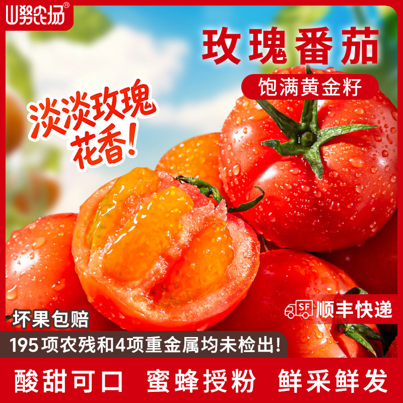 【顺丰】山努玫瑰番茄水果自然熟草莓西红柿香甜多汁生吃小柿子