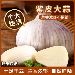 山东干蒜头2025新鲜饱满大蒜新晒紫白皮农家蒜产地直发辛辣提香