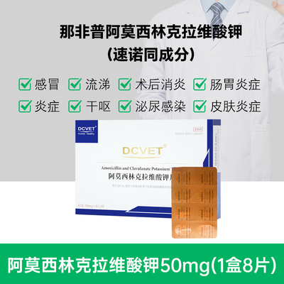 那非普速诺消炎片猫咪阿莫西林