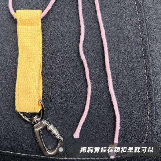 网红可调节小型犬外出牵引绳电动车狗狗兜风防跳车载专用绳索