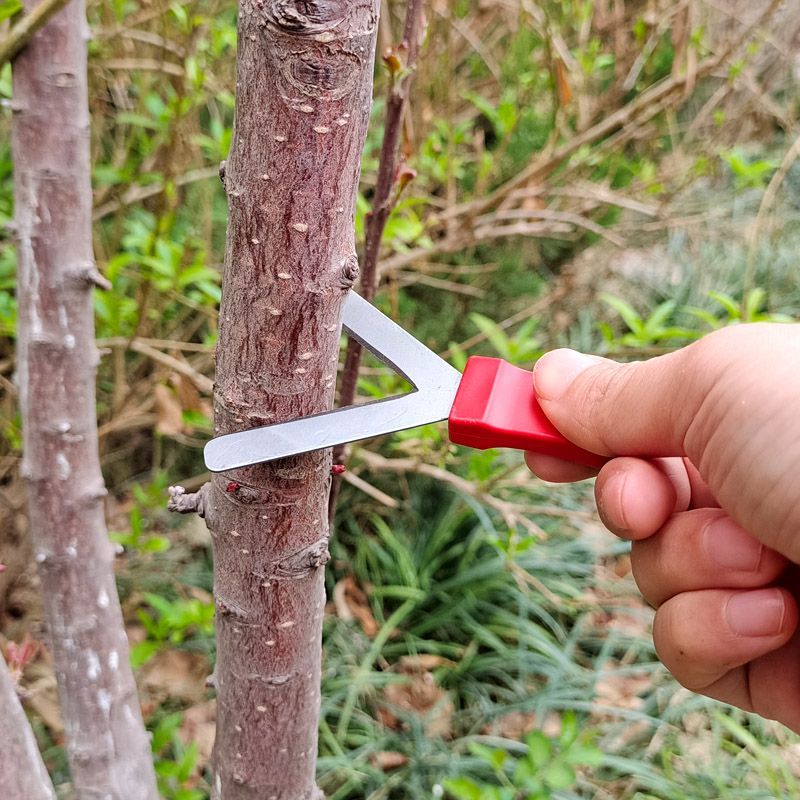 枣树桃树环剥刀Y型果树刻芽刀葡萄环剪器园艺环割刀农用修枝刀