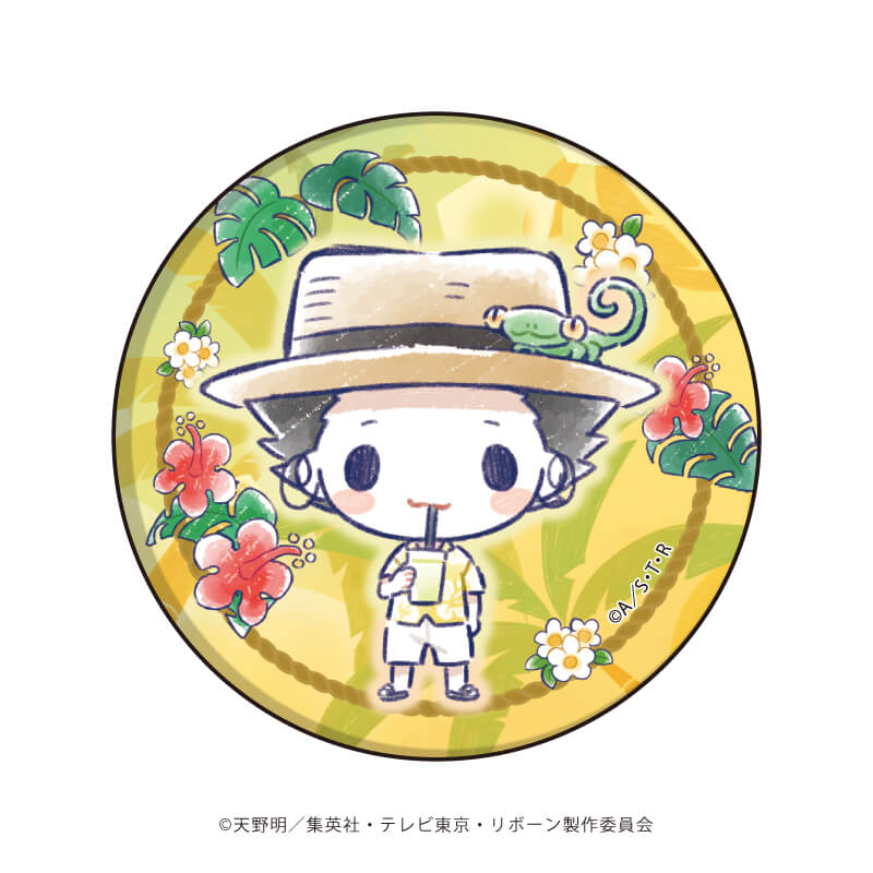 灰鹤预订A3家庭教师夏