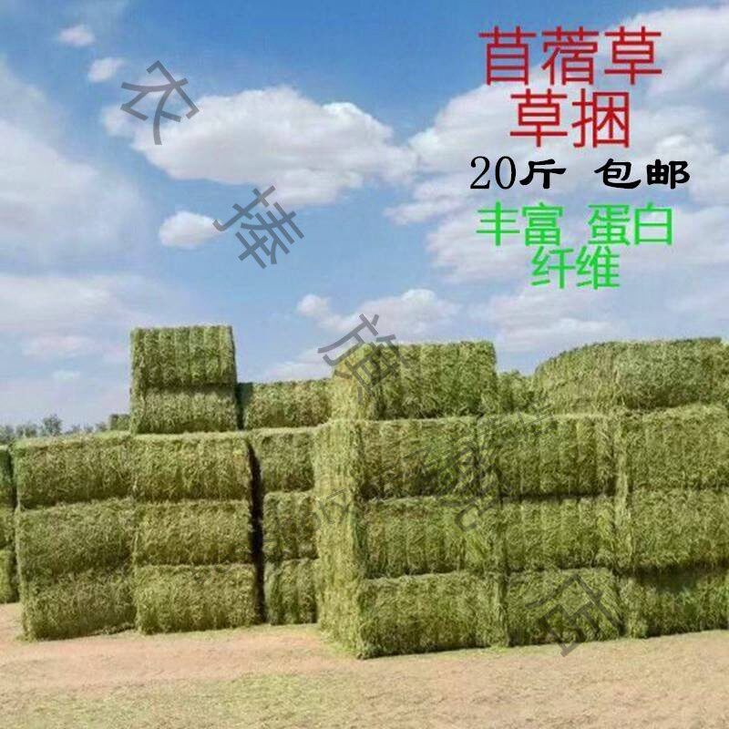 苜蓿草捆家畜喂马草料牛羊u驼食用牧草动物园宠物养殖场干草饲料