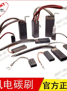 AG20 LFC554风力u发电机接地碳刷电刷 8X20X32MM