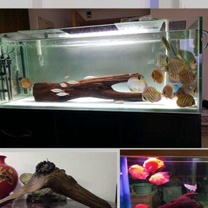 紫柚木拱桥型沉木大号大型鱼缸造A景摆件天然树桩已煮造景木龟晒