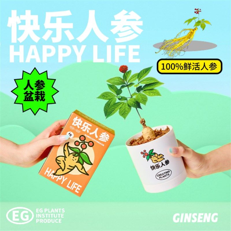 热销绿州快乐人参盆栽创意植物办公室桌面绿植Q懒人室内好养国庆