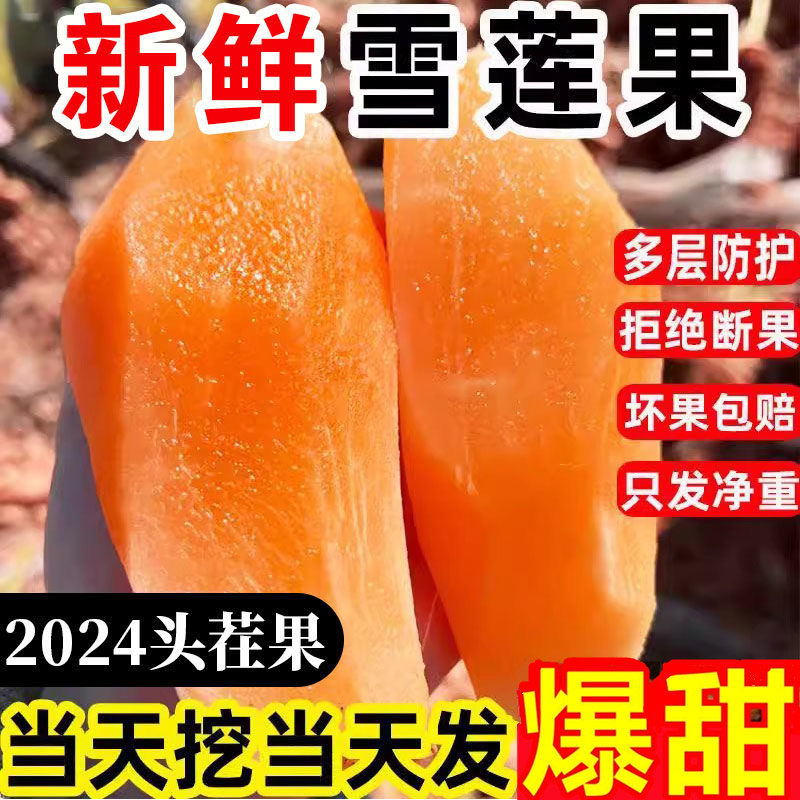 云南天山雪莲果小果10斤新鲜水雪莲果