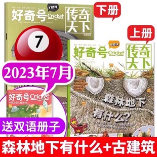 好奇号杂志2023年7月期刊过刊清仓森林地下有什么古建筑福建城市专题6 12岁小学生科普自然历史文化百科大全四五六年级课外书阅读