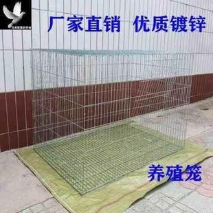 极速兔笼子养殖专用室外鸡笼子家用鹌鹑笼K小鸡笼运输笼大兔子笼