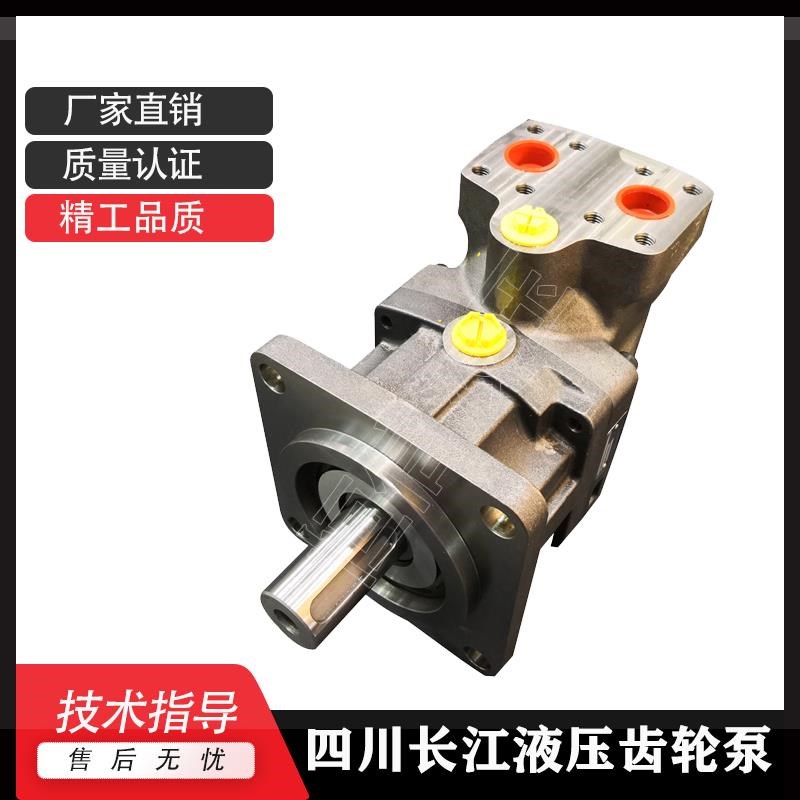 液压泵GPC4a-63/20-218R双联齿轮泵N GPC40-50/20