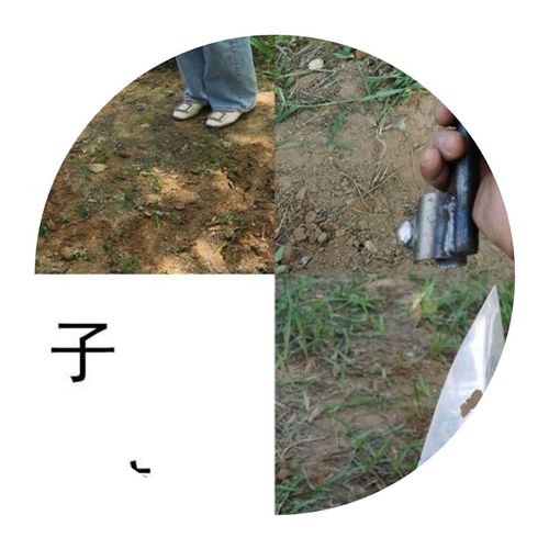 速发锄草神器锄地除草小q型农用工具机械犁地开沟松土翻土翻地机