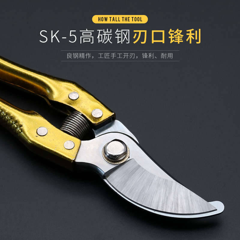 果树修枝剪刀剪枝剪剪修剪刀园艺枝修花修树M枝园林园艺剪刀果枝