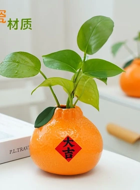 【大吉】创意橘子花瓶陶瓷水养绿萝水培花盆桌面办公桌装饰品摆件