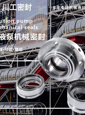 化工单位机械密封 APP40P-0119ZGEG-80 设备密封碳化硅环 seal