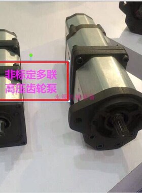 非微型工业新款上市标定做双联齿轮泵B262A2IS2818S3F1FE多联高压