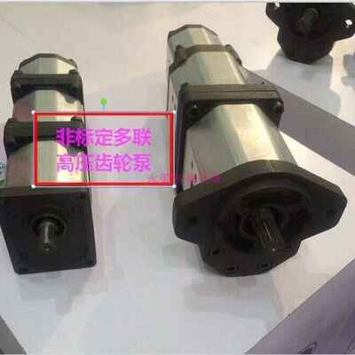 非微型工业新款上市标定做双联齿轮泵B262A2IS2818S3F1FE多联高压