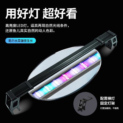 超白玻璃方缸养鱼k日记家用侧滤鱼缸桌面M生态溪流造景爆藻全套造