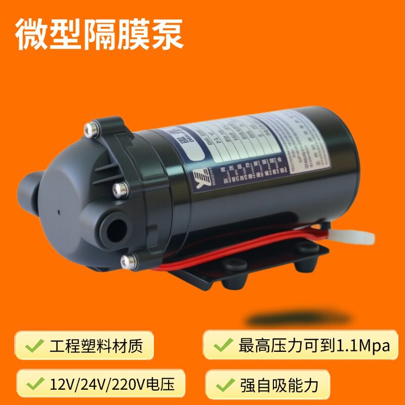 厂家直销隔膜泵|12V/24V 直流 |220V 交流 | 反渗透净水|仪器设备