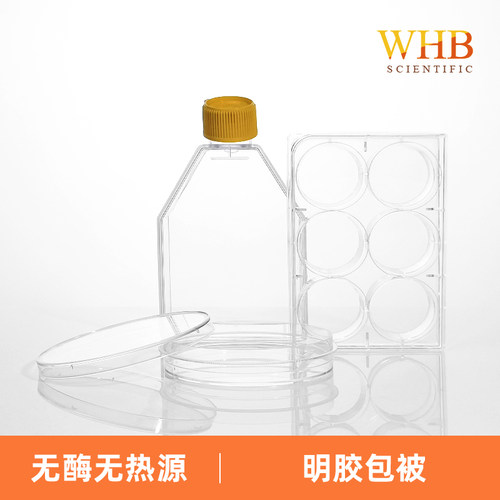 WHB明胶包被培养板皿培养瓶