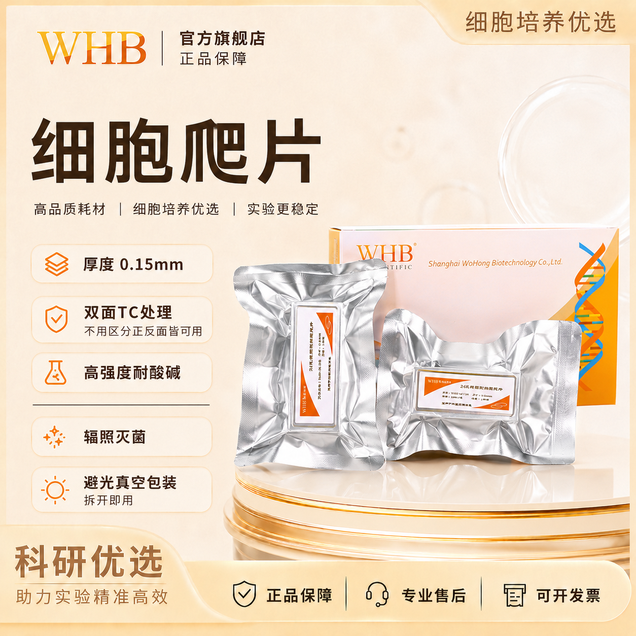 无菌爬片TC处理多聚赖氨酸包被
