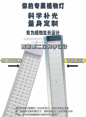 魔力鸟LED多肉补光灯防徒上色室SYQ内绿植块根草全光莓谱植生物长